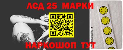 СК Кингисепп