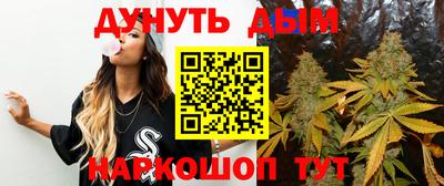 СК Кингисепп
