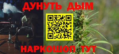 СК Кингисепп