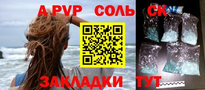 СК Кингисепп