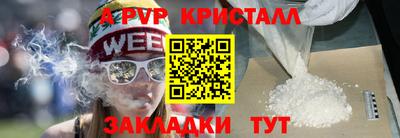 СК Кингисепп