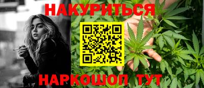 СК Кингисепп