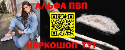 СК Кингисепп