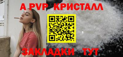 СК Кингисепп