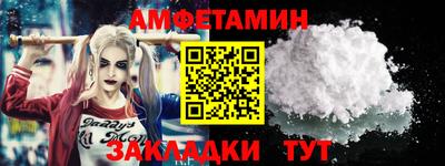 СК Кингисепп