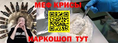 СК Кингисепп