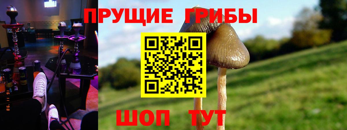 Лабытнанги  Галлюциногенные грибы GOLDEN TEACHER  Вход с VPN  Псилоцибиновые грибы GOLDEN TEACHER 